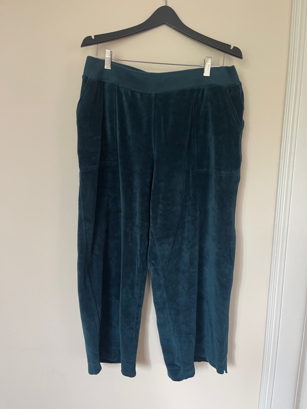 Pact Wide Leg Velvet Pants in Teal